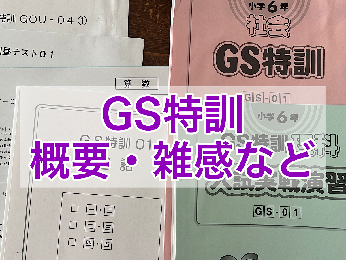 サピックスGS特訓の教材の画像
